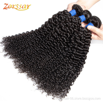 Unprocessed raw virgin human hair vendors wholesale curly packet hair with closure cheap remy brazilian human hair extensions